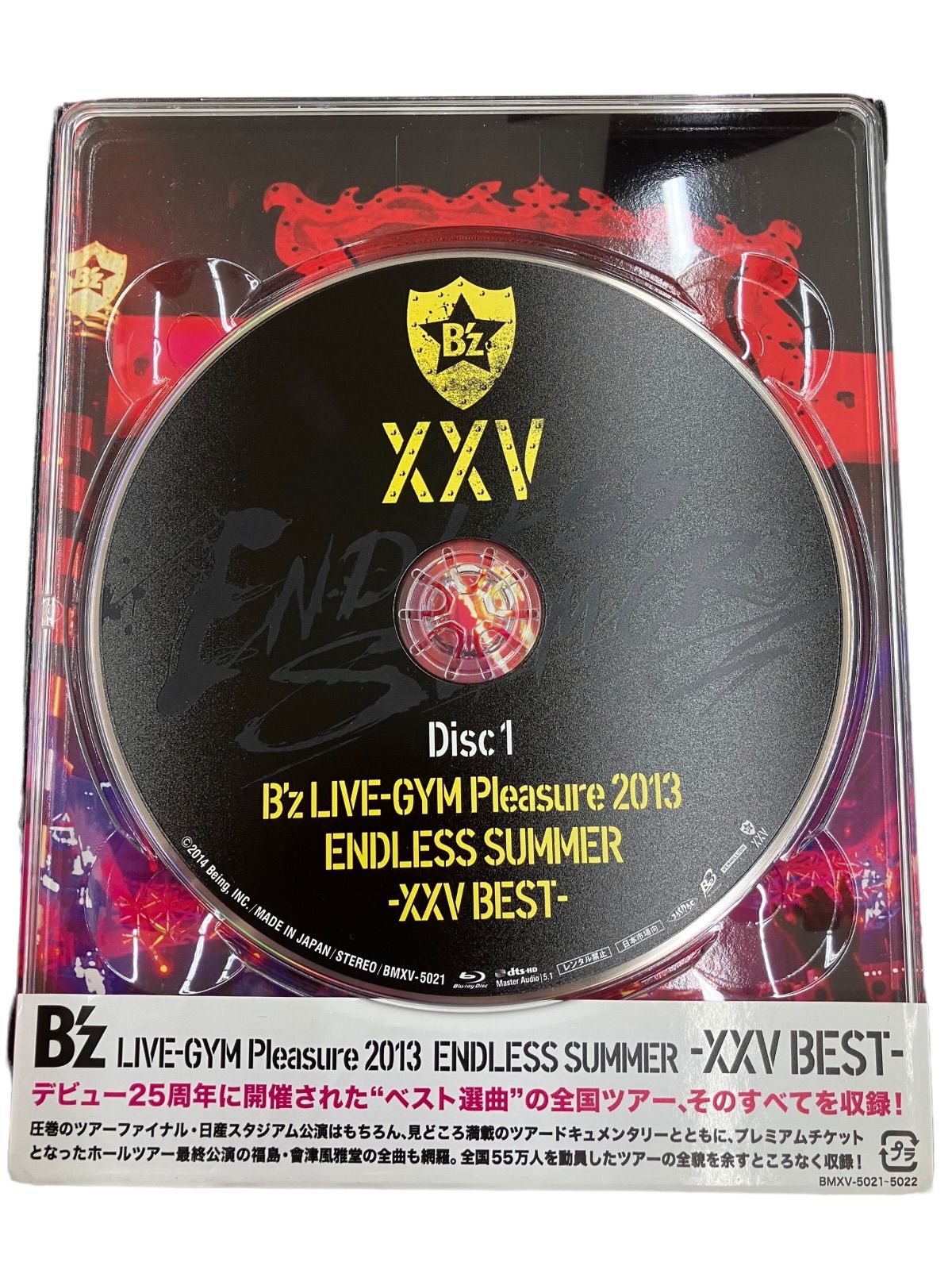 b'z LIVE-GYM Pleasure 2013 ENDLESS SUMMER -XXV BEST- blu-ray 