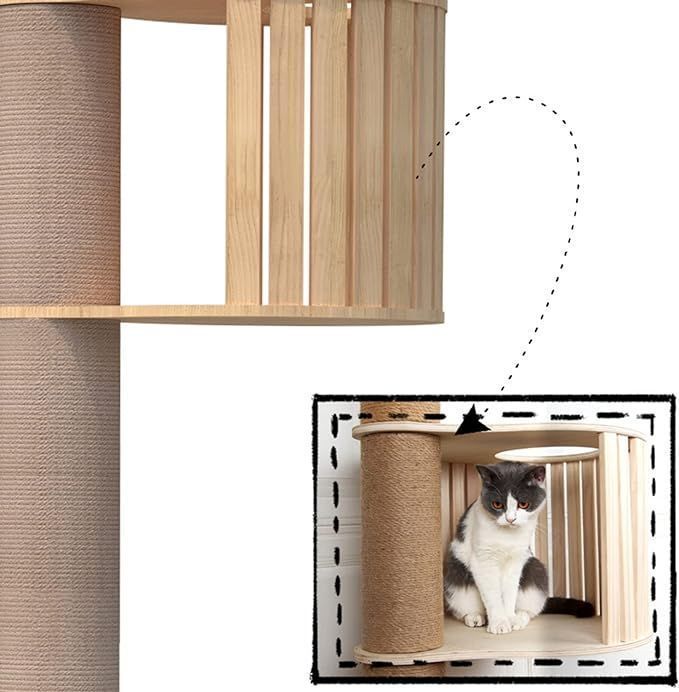 小型猫