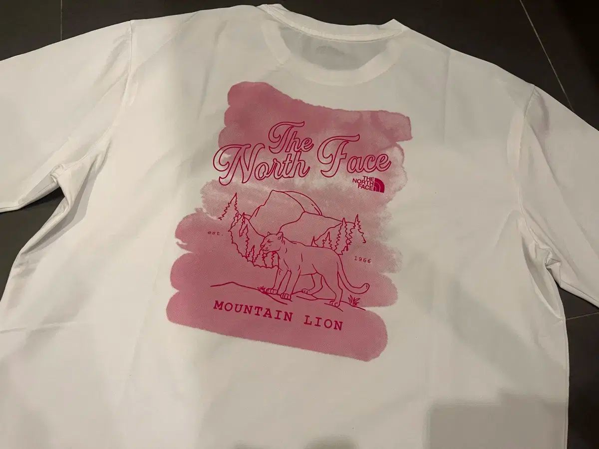 ノースフェイスショートスリーブ
