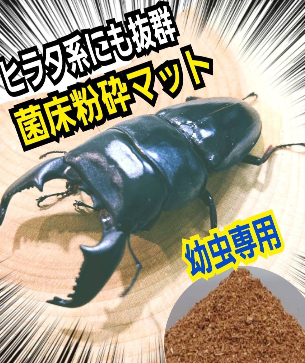 クワガタ幼虫専用 菌床粉砕マット【5リットル】ボトルに詰めるだけ！モリモリ食べます！ オオクワ、ヒラタ、ニジイロ、ノコギリに！保存にも便利なアイテムチャック付き袋  - メルカリ