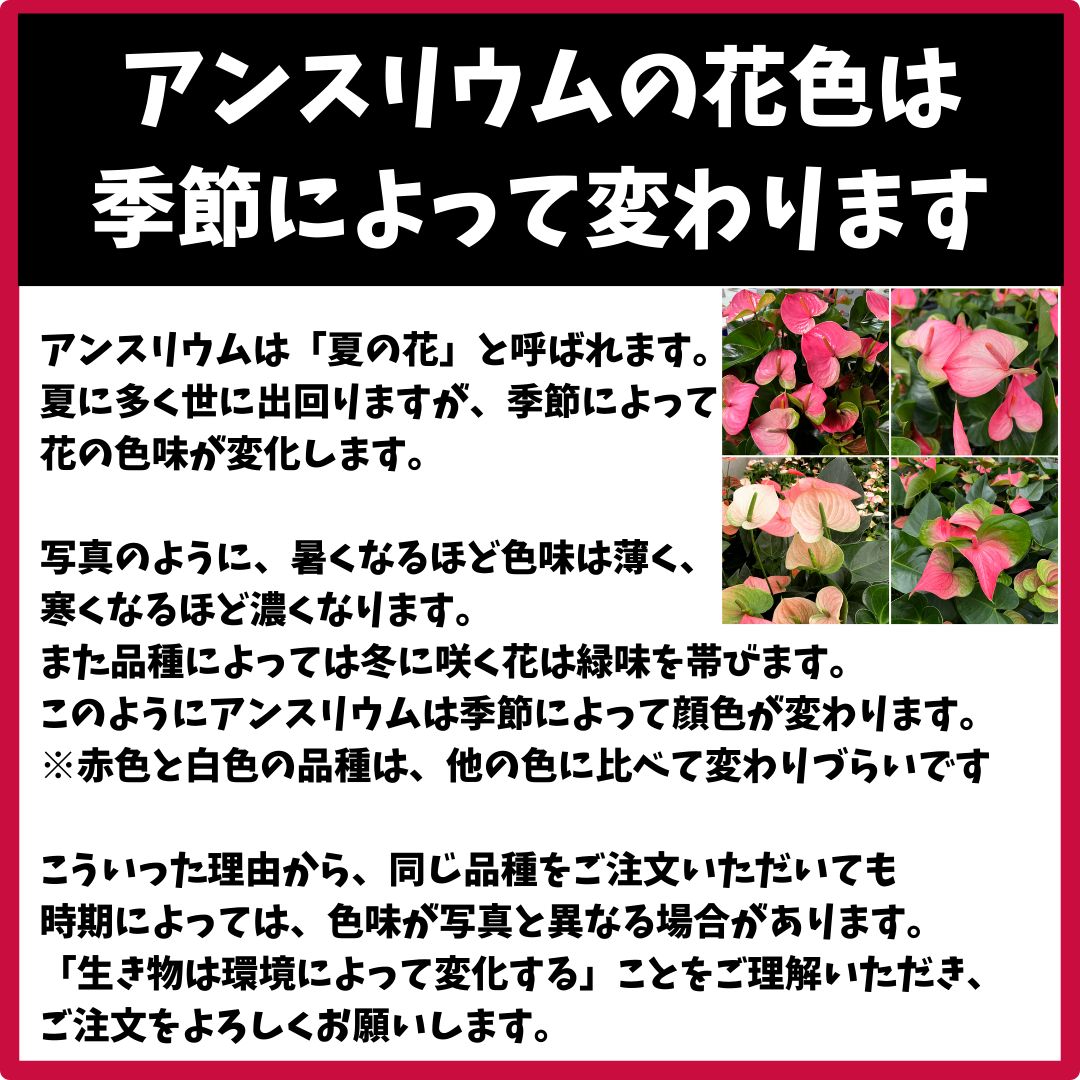 のサムネイル