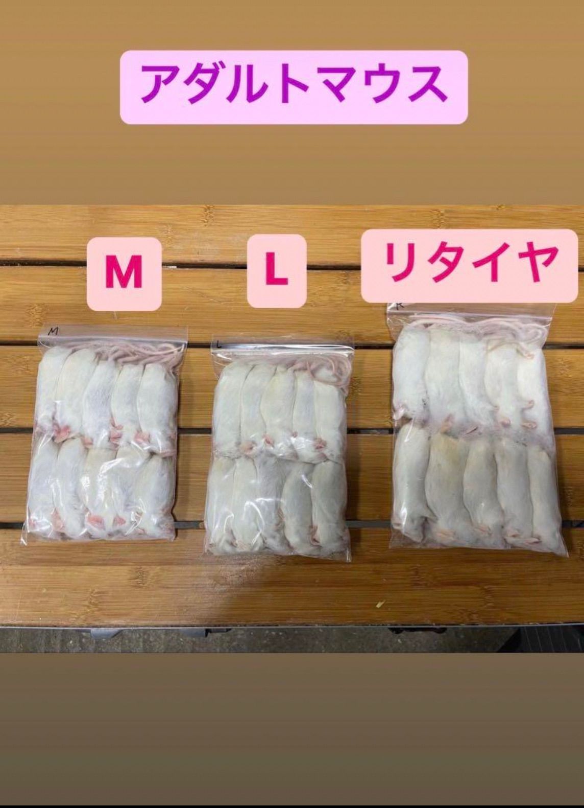 送料無料 国産冷凍マウス リタイア100匹 送料無料 冷凍マウスリタイア