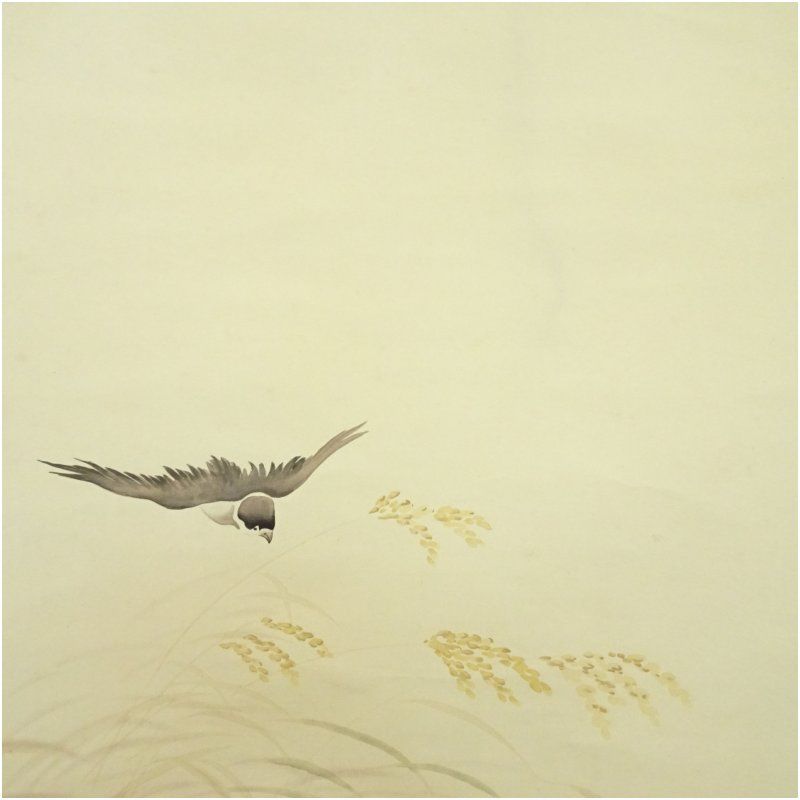 掛け軸 小川香月 名月秋声 絹本 希少 軸装 茶道具 掛軸 美品 です