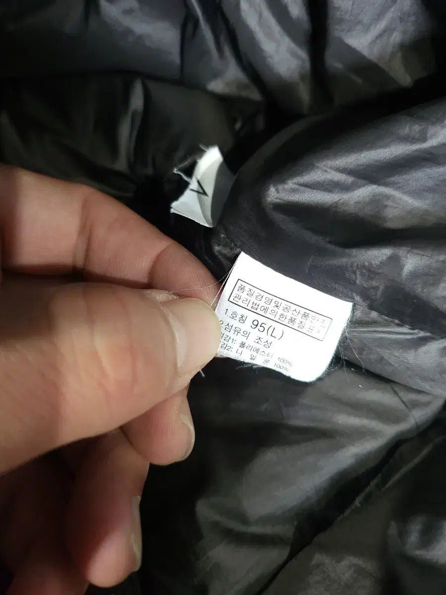 ザノースフェイス レディース