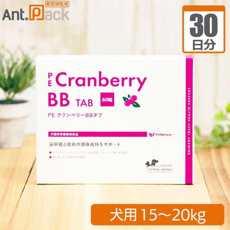インテリア小物 【美品】13 陶製花器 ブラック ゴールドライン
