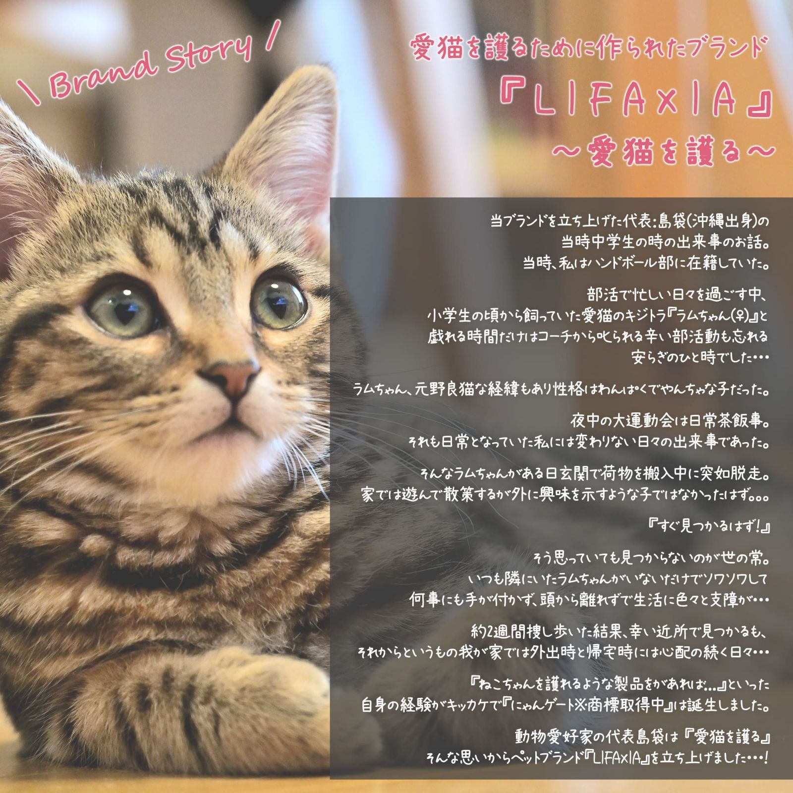 にゃんゲート LIFAXIA ペットゲート 猫 170cm ハイタイプ 島袋商店 幅広 取付幅61.5-220cm選択可 キッチン 侵入 突っ張り 猫脱走防止フェンス ベビーゲート ペット 柵 玄関 犬 1988 STEELWINDOWSANDDOORS_COM