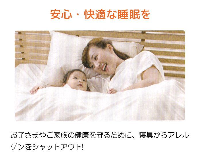 スタンダード 洗える