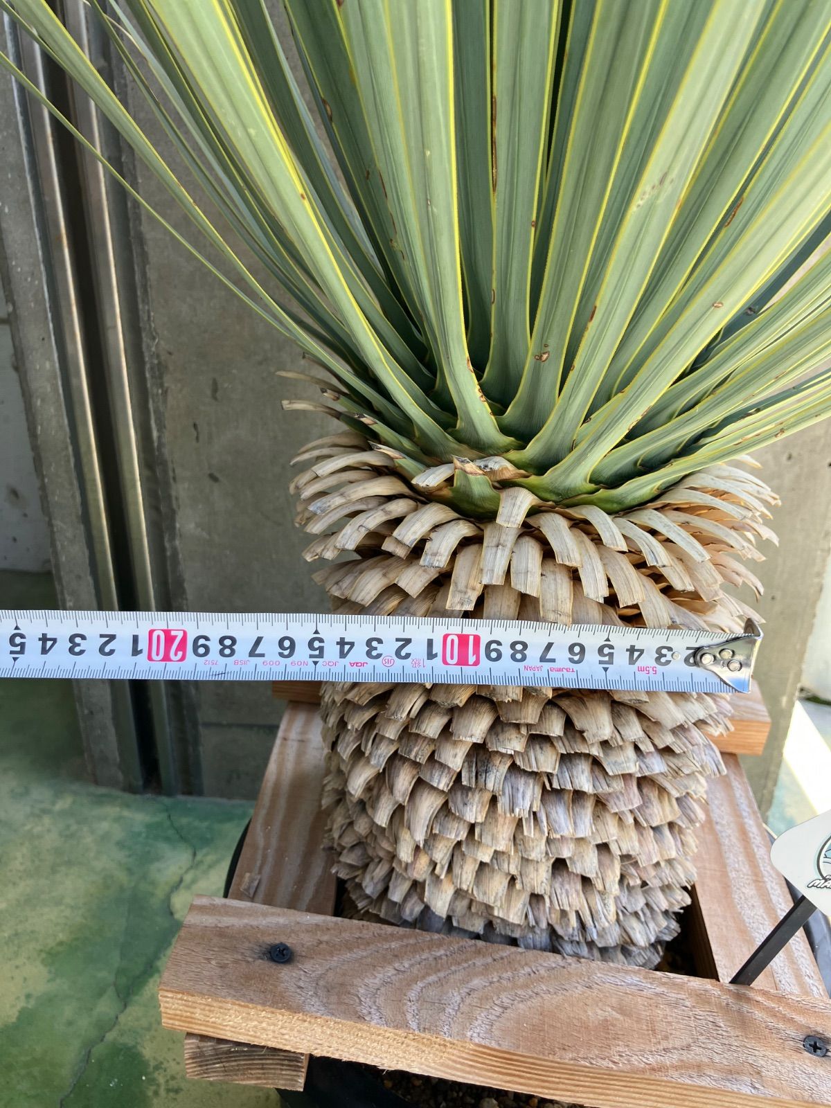 マルデヌベス