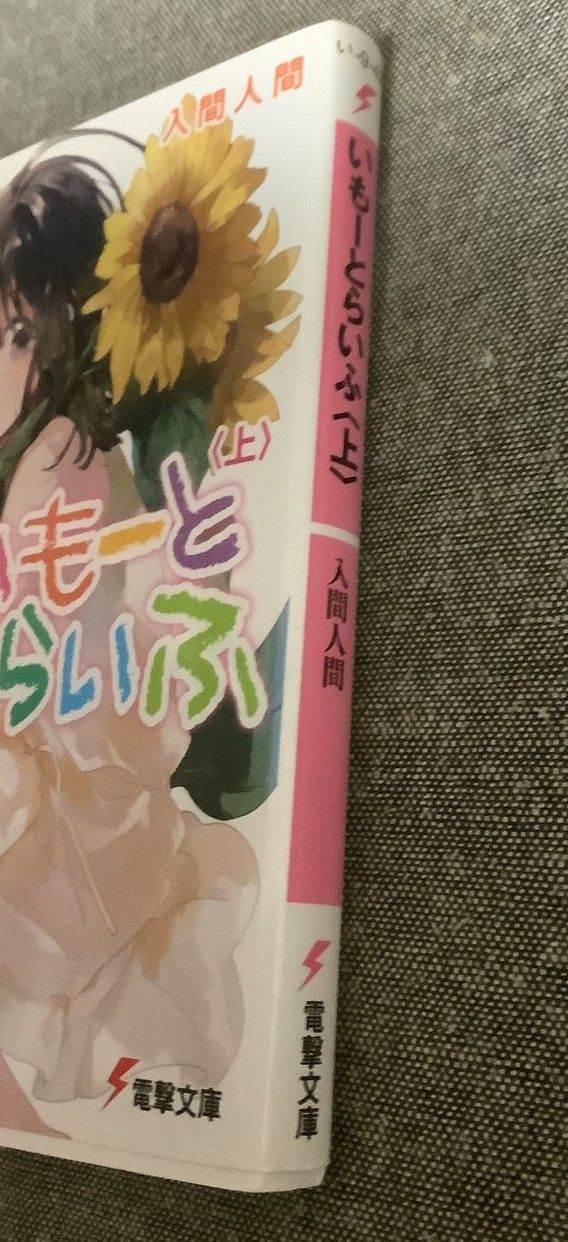 電撃文庫ライトノベル いもーとらいふ 上下巻 入間人間 ■2000 Amazon.co.jp: いもーとらいふ〈上〉 (電撃文庫) 電子書籍: 入間