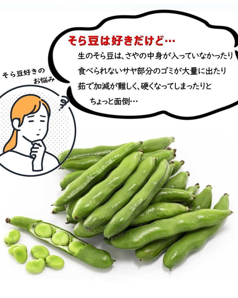 冷凍そら豆 ニッスイ 塩味 空豆 塩あじそら豆 1kg (500g×2P