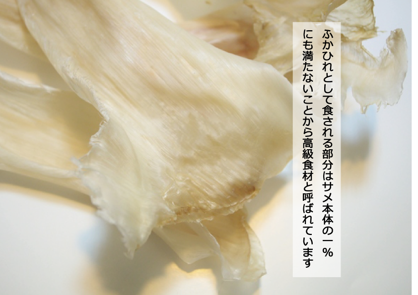 【送料無料 オンライン限定品】満足するふかひれ松前漬け (1kg)