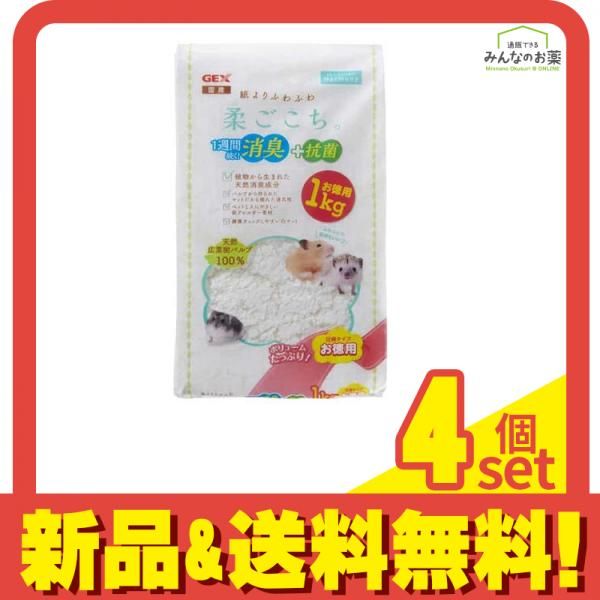 MTG フォーゴトン・レルム探訪 セットブースター カートン