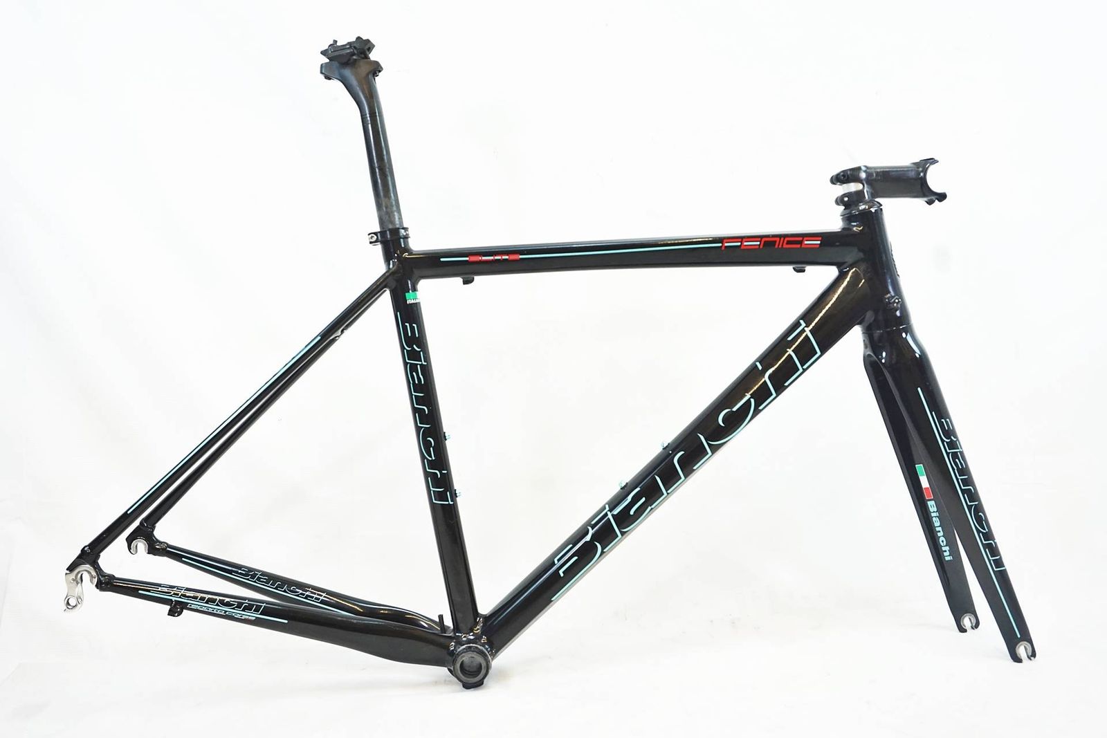 Bianchi Fenice Elite フレームのみ　53サイズ BIANCHI FENICE ELITE / ビアンキ フェニーチェ エリート