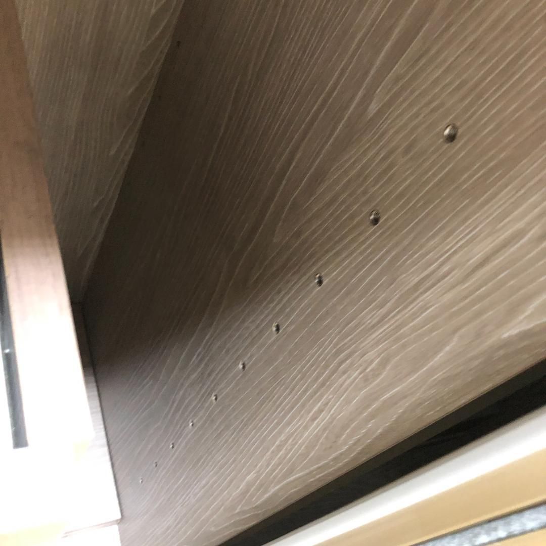 スモークガラス扉