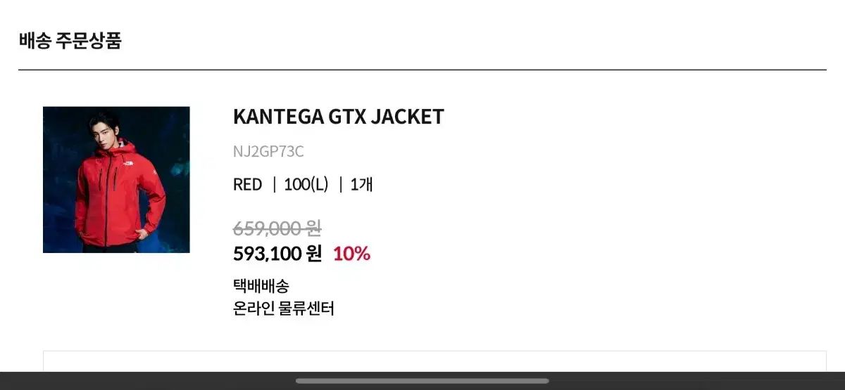 THE NORTH FACE ザノースフェイス カンテガ GORE-TEX ゴアテックス L 100