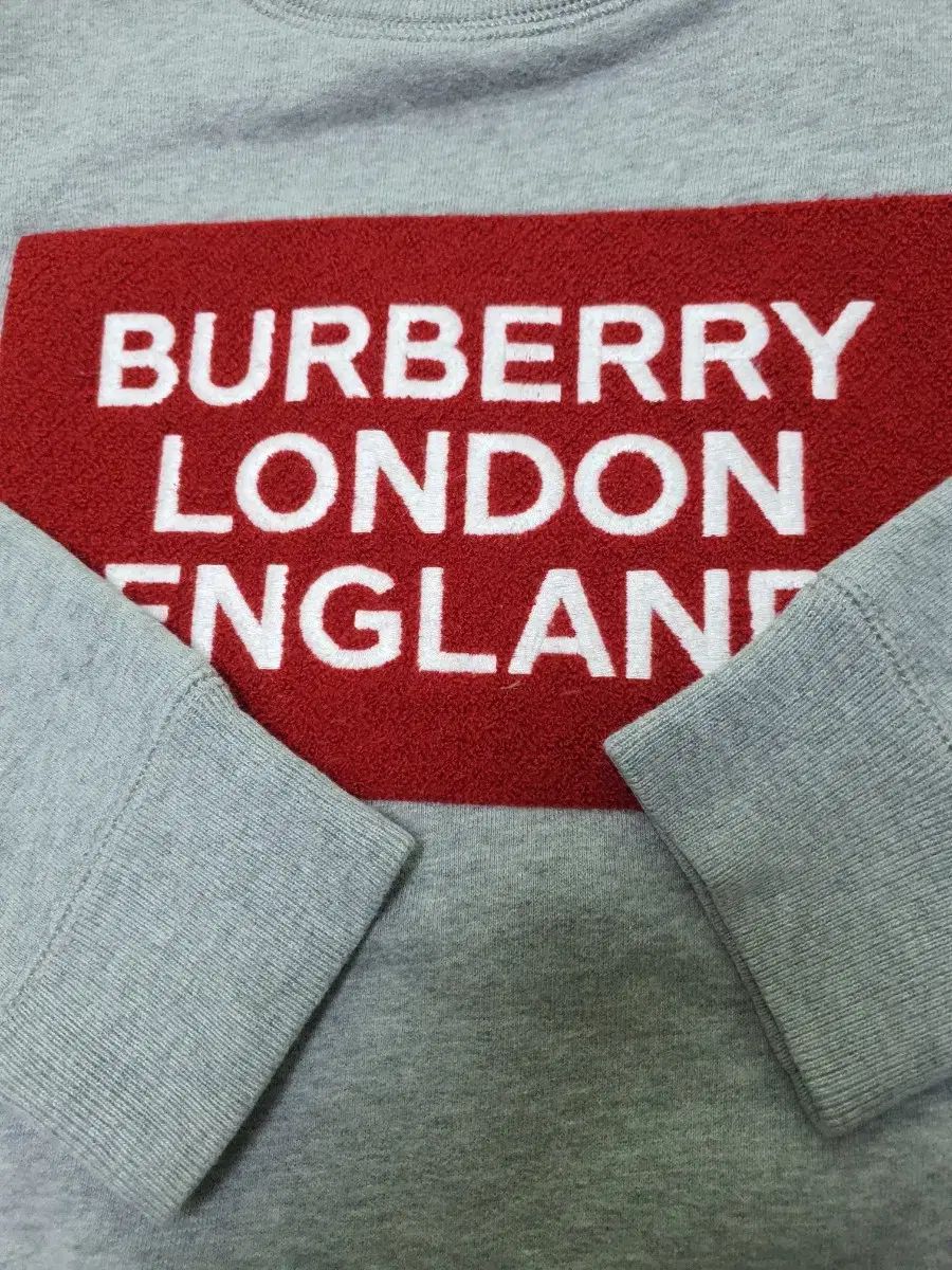 Burberry キッズ トレーナー トーマスベア 12Y 150cmほど Burberry