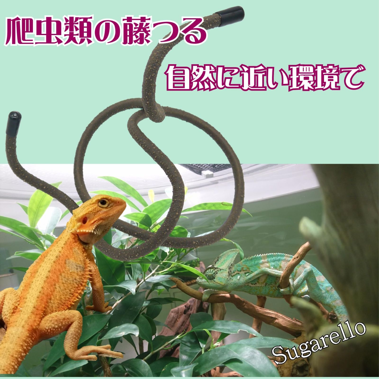 人気商品】カメ ヤモリ 吸盤付き カエル ヘビ トカゲ 自然 柔軟性 隠れ家 人工植物 木のつる 人工爬虫類つる 木登り用枝 登り木 人工藤 藤つる  飼育ケースアクセサリー 人工ジャングル 爬虫類 Sugarello - メルカリ