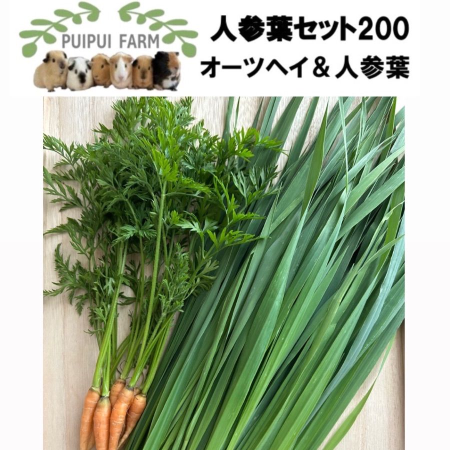 人参葉セット200 オーツヘイ 人参葉 生牧草 プイプイファーム