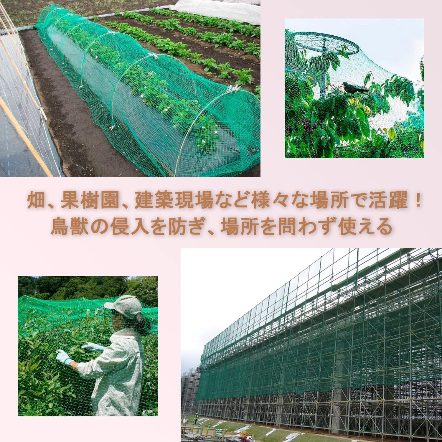 園庭 家庭