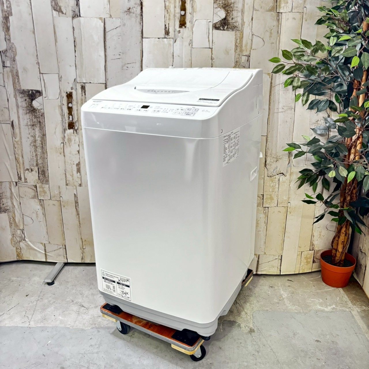 ☆使用歴僅か美品☆ 2024年製 SHARP冷蔵庫 と Hisense洗濯機 ☆使用歴