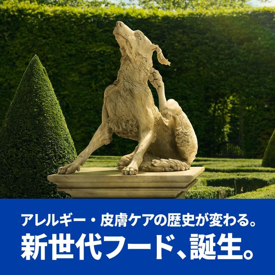 ドッグフード ドライ