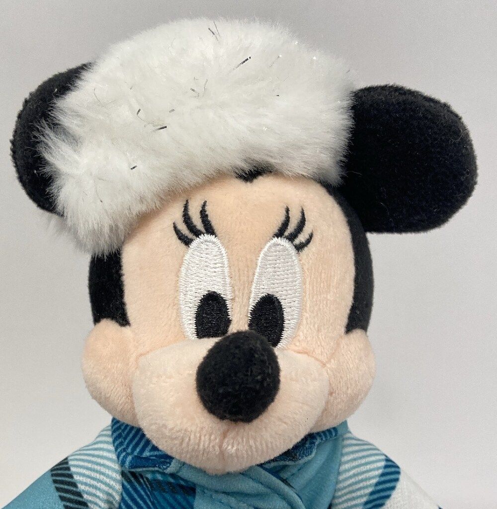 東京ディズニーランド