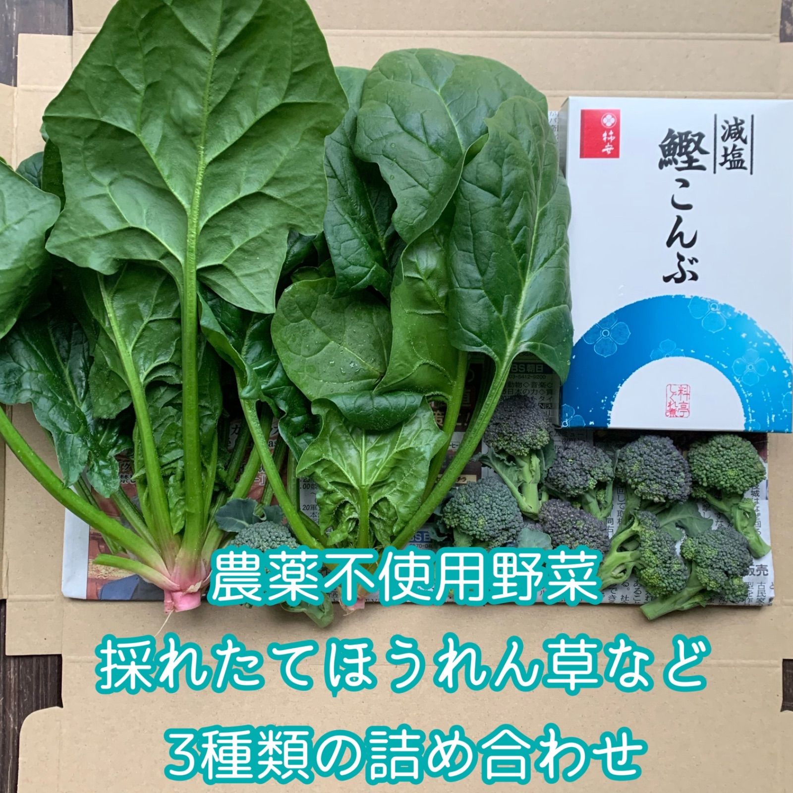 最大68%OFFクーポン農薬不使用！野菜詰め合わせ バターレタス サラダ菜