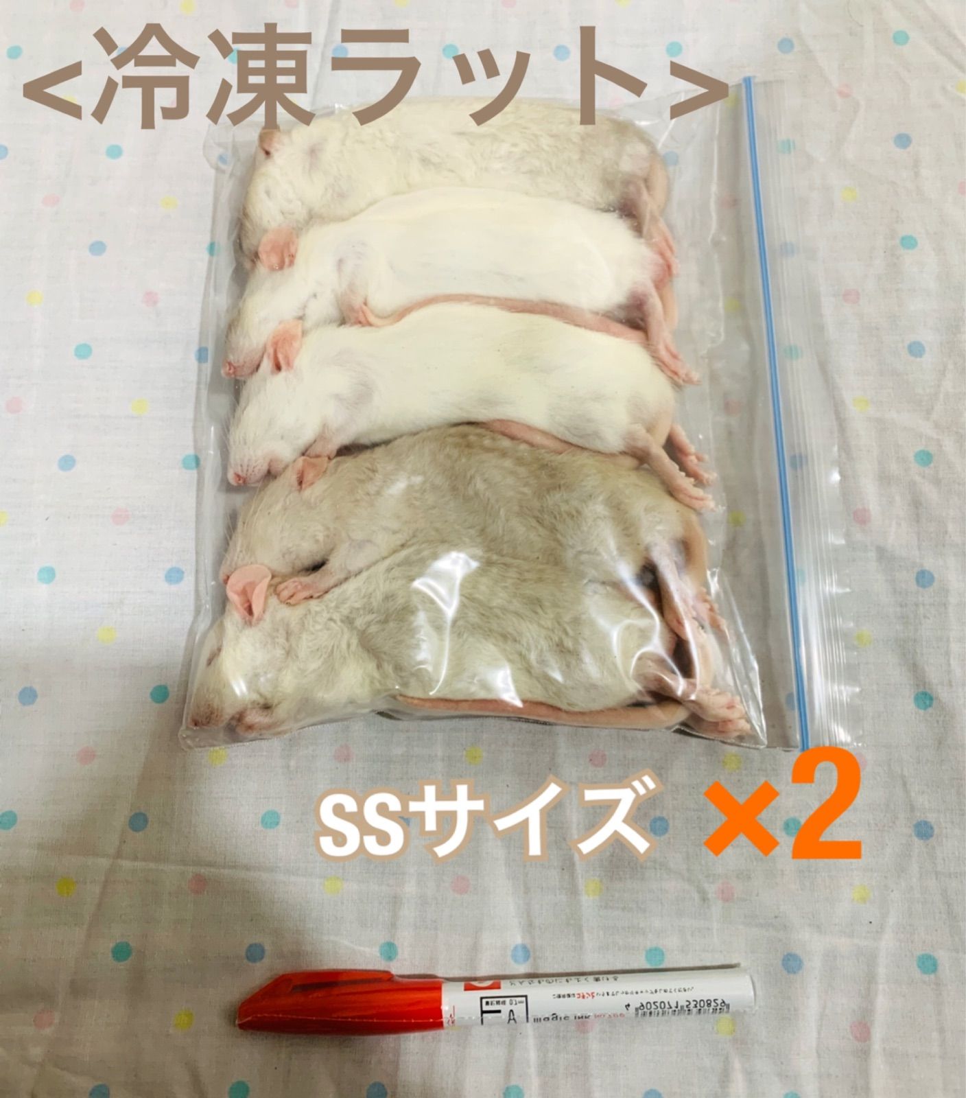 SSサイズ 冷凍ラット 2袋
