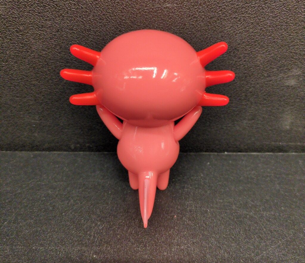 バケタンブログ マウスどうぶつえん ウーパールーパーののぞみ バケタンブログ マウスどうぶつえん ウーパールーパーののぞみ
