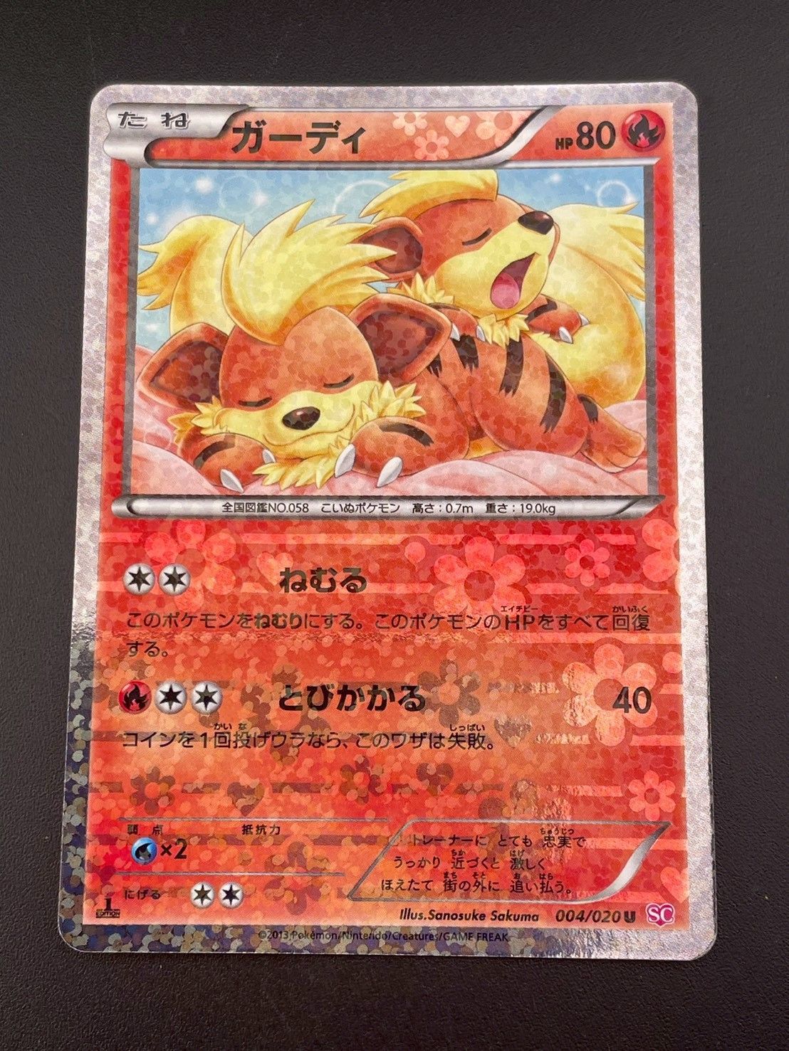 ガーディ SC シャイニーコレクション PSA10 【公式通販】