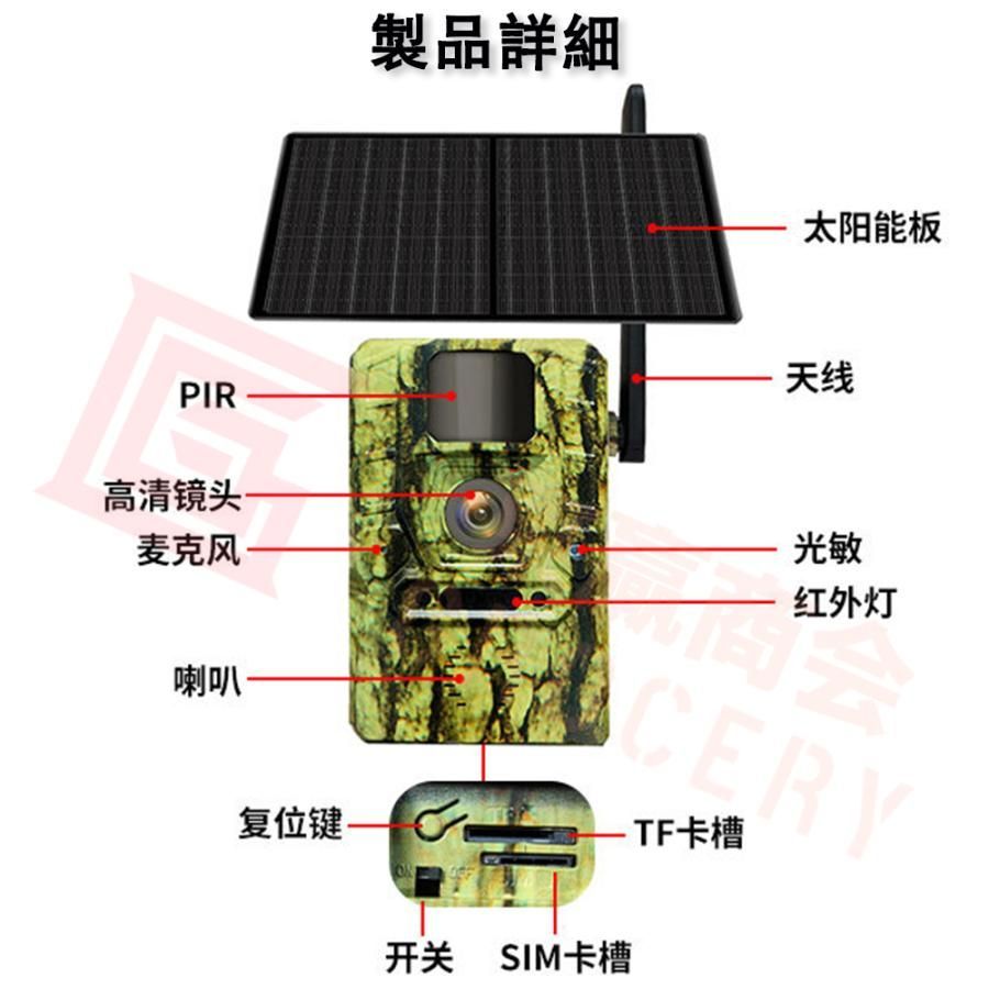 迷彩色 夜間撮影