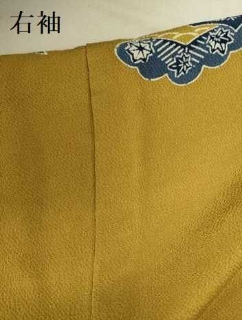 平和屋着物○上質な小紋 紅型 草花文 鬼しぼ縮緬 正絹 逸品 DAAV3101du