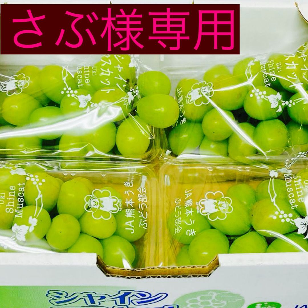 予約販売 ７月下旬以降 選果落ち 商品 国産 九州産 ぶどう シャインマスカット 4パック 約1200g×4セット 003 粒不揃い クール冷蔵 規格外 家庭用 贈答不可 加工用 果物 熊本 福岡 葡萄 ブドウ