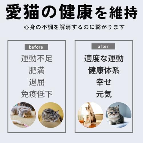 キャットレーザー