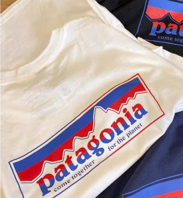 一つだけ★新品★処里 ★激安 ブランド: Patagonia / パタゴニア パタゴニア Tシャツ サイズ: XL 男女兼用