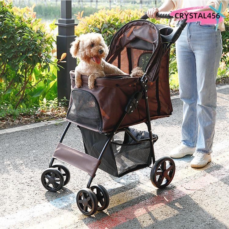 小型犬 中型犬