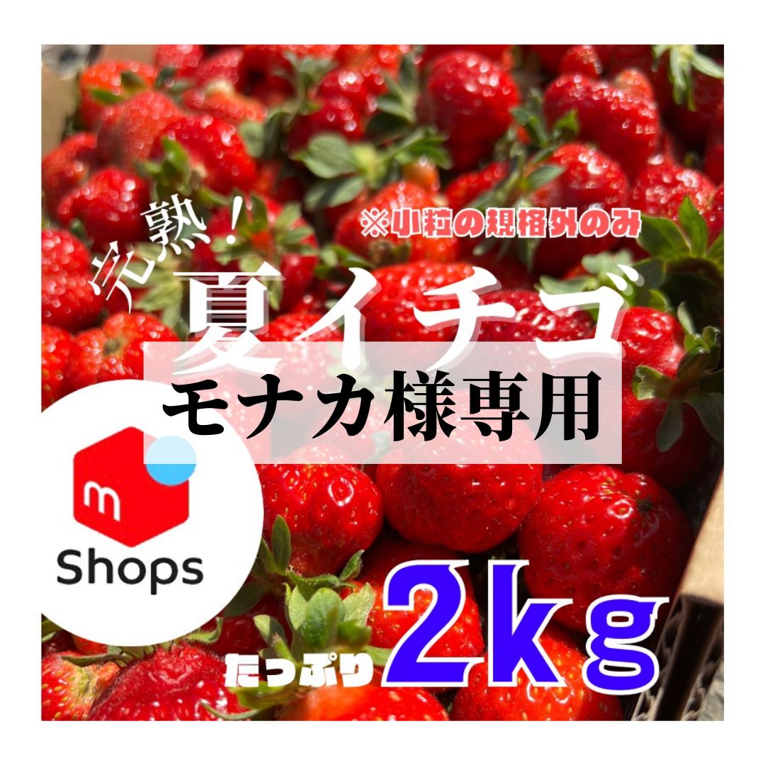 モナカ様 専用ページ - メルカリ