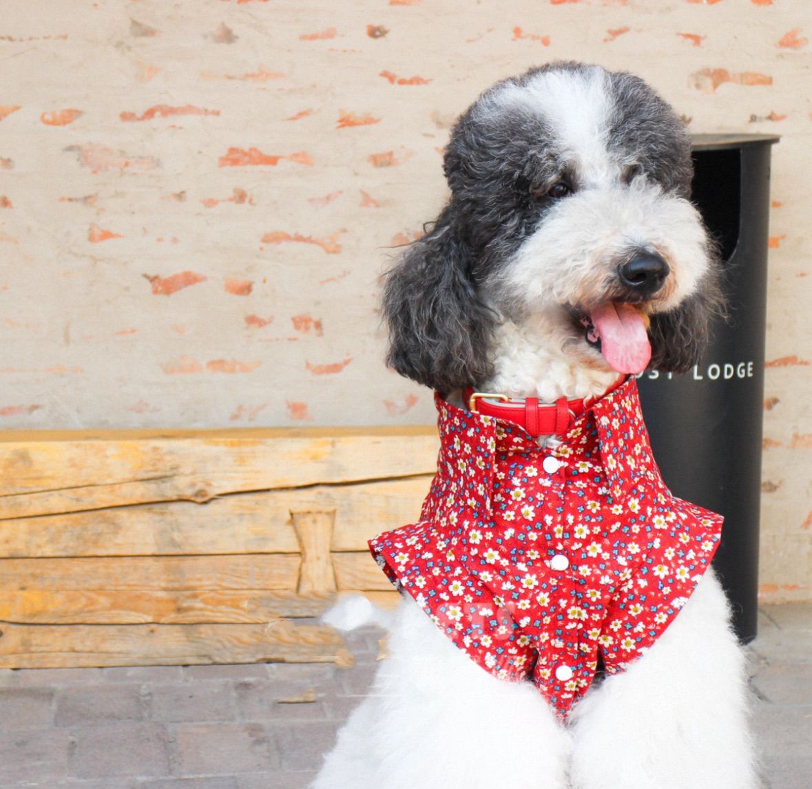 パナソニック 60形 電球形蛍光灯 パルックボール EFA12EL 電球色