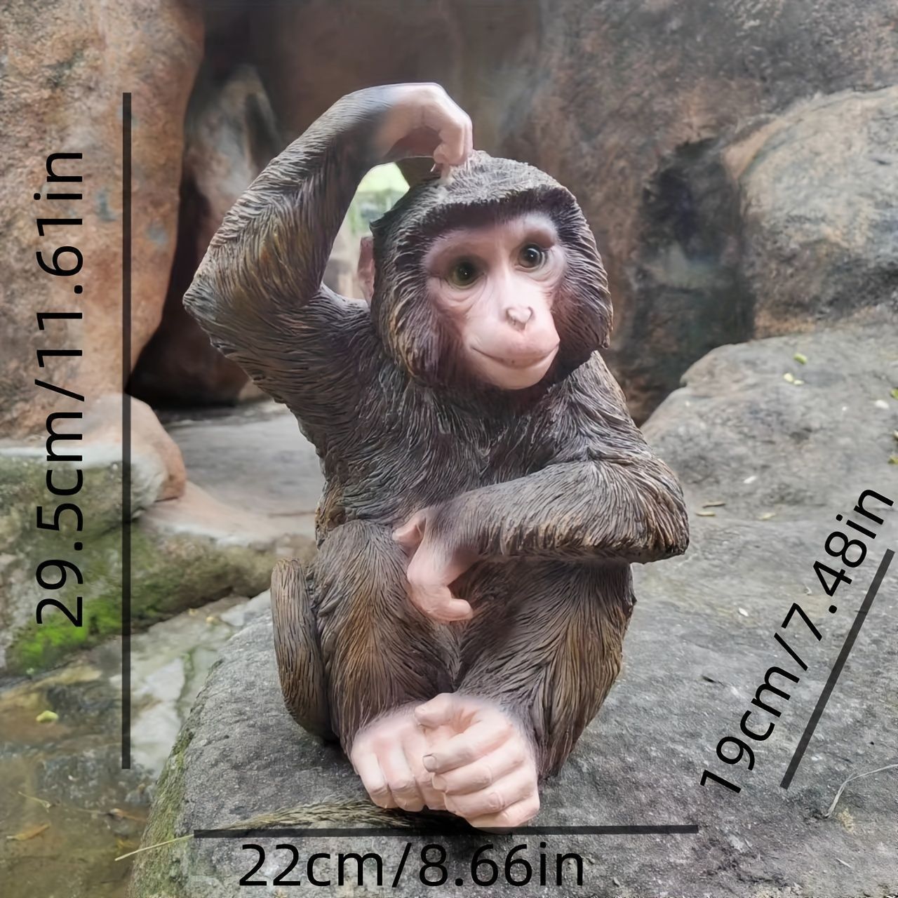 ダイニング