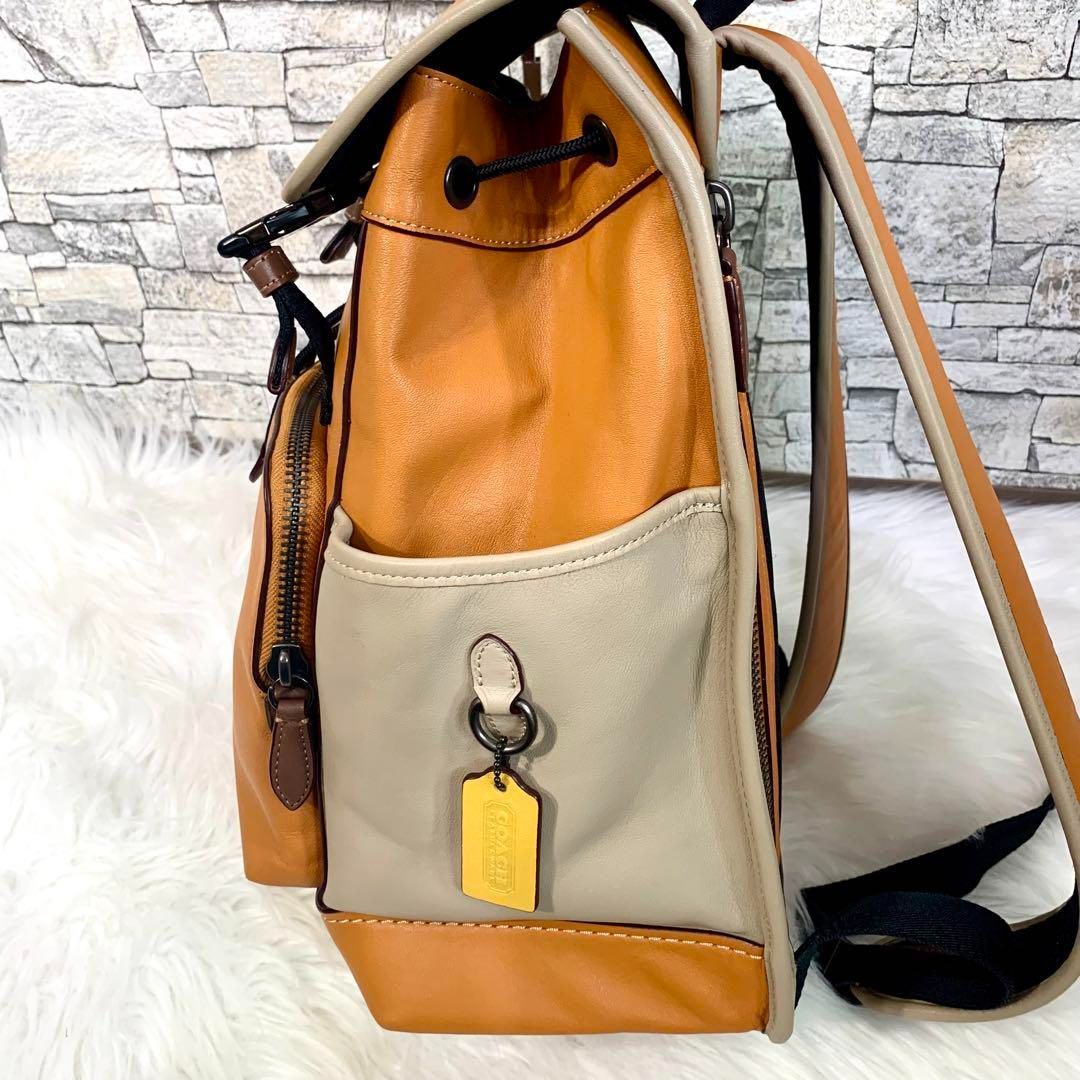 COACH(コーチ)本革レザーリュック 美品 激レア コーチ オールドコーチ
