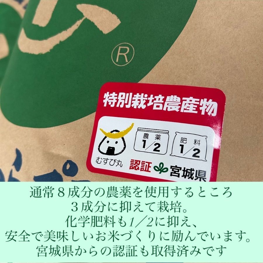 新米】令和7年度 農家直送！減農薬米 コシヒカリ 【令和7年度米】特別