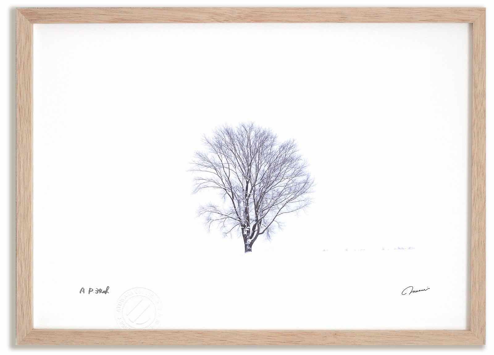 アートフォト 絵画 哲学の木9 高橋真澄|インテリア 額入り 額装込 風景画 油絵 ポスター アート アートパネル リビング 玄関 プレゼント モダン アートフレーム 飾る Mサイズ おしゃれ 壁掛け 絵