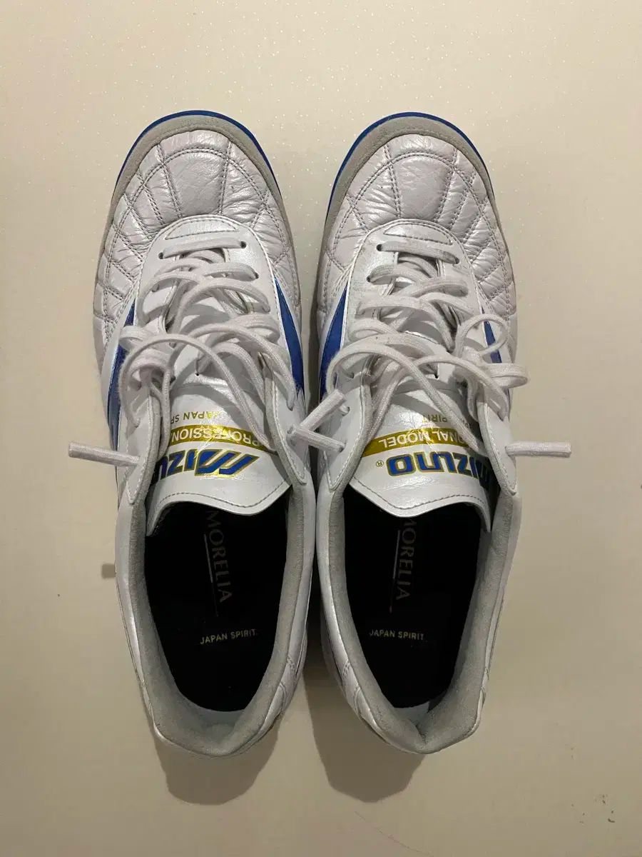 【雷市場（ポンジャン）商品韓国直送】 mizuno(ミズノ) モレリア サラ・ジャパン 270