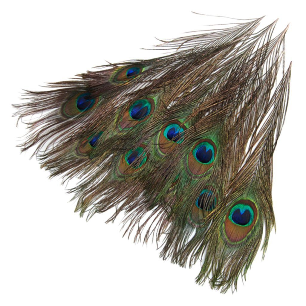 目玉羽 23-33cm