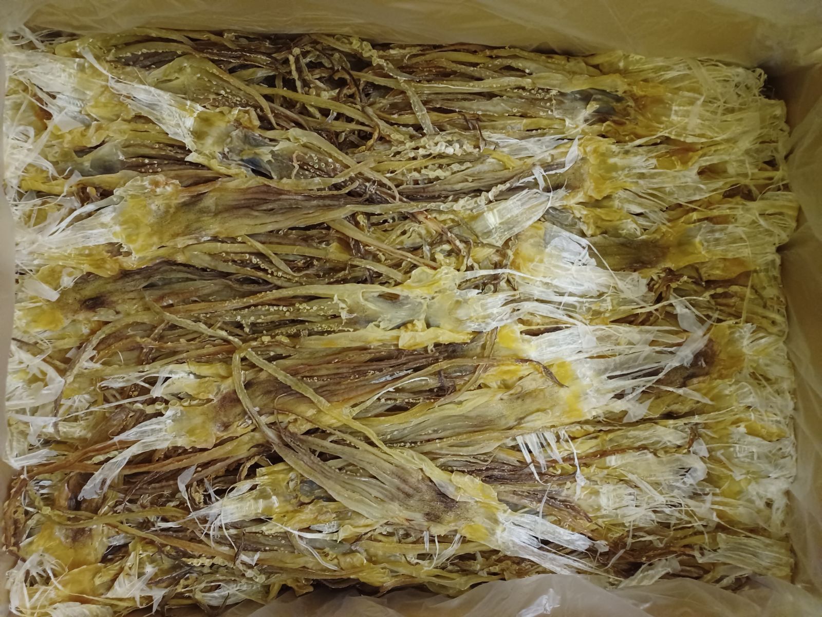 大容量 1.6kg 国産無添加 ダイエットにも最適な大好評珍味 前浜するめ足