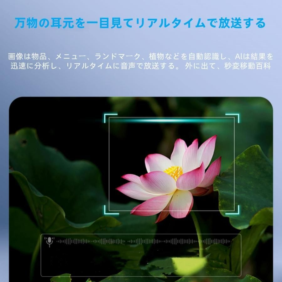 メガネ