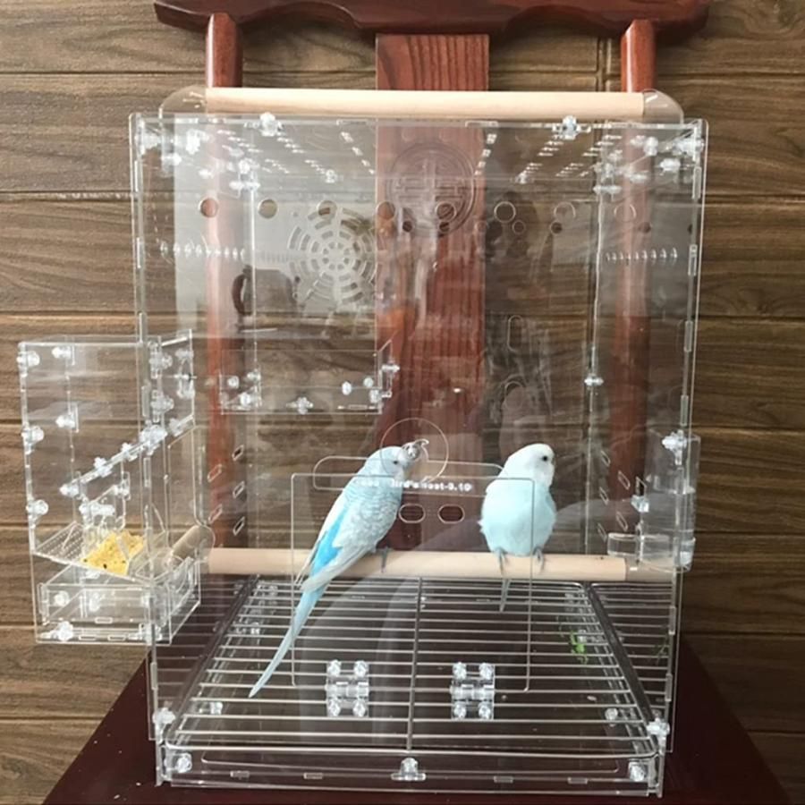 インコ とりかご