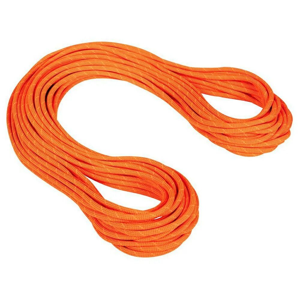 お取り寄せ ２～４週間で発送 マムート クラッグ ドライ 9.8mm ロープ Dry Standard. Safety Orange | Bo t MAMMUT Crag Dry 9.8 mm t