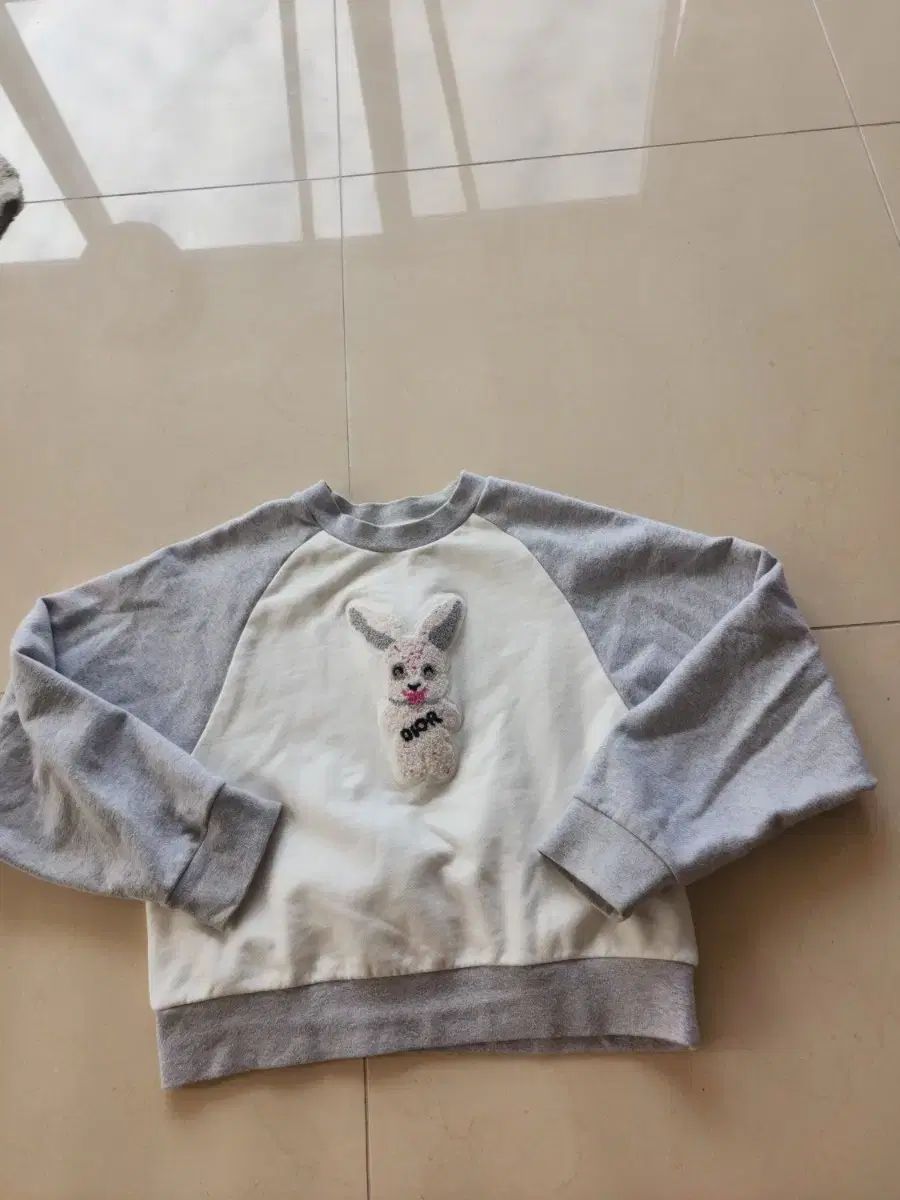 ディオール レディース スウェット