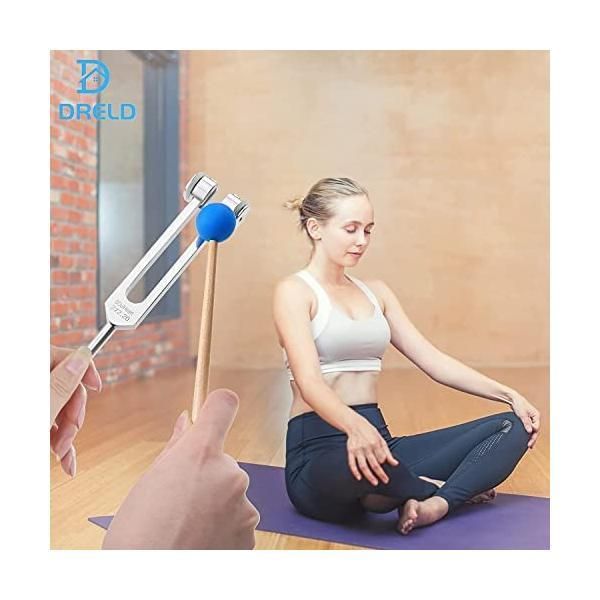 都会的な Dreld チャクラ 音叉セット ソルフェッジオ音叉のセット シルバー チャクラ音叉9個 1シリコンハンマー付き 68.05 Hz 126.22 海外限定。